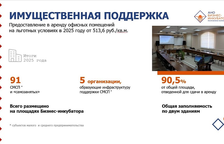 Итоги 2025 года: имущественная поддержка предпринимателей от Бизнес-инкубатора РМЭ.